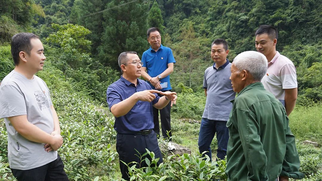 yl23455永利(中国)股份有限公司官网